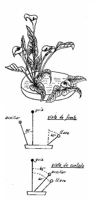 Arreglos Florales con Ikebana - Curso gratis de enplenitud.com