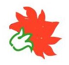 Curso básico de pintura sobre madera En Plenitud.com
