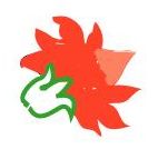 Curso básico de pintura sobre madera En Plenitud.com