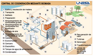 La Biomasa: energía del pasado y del futuro - Curso gratis de enplenitud.com